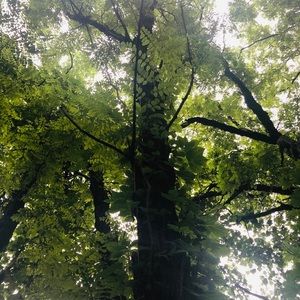 Meet your Posher, Cc